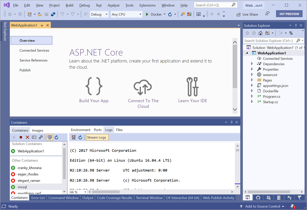 Container Tool Window in Visual Studio 2019